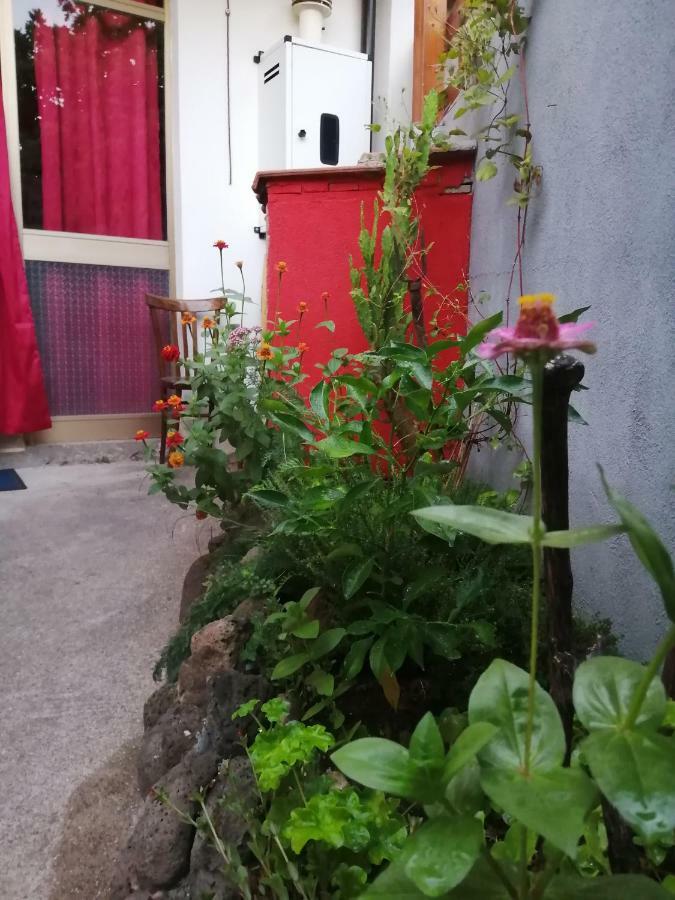 B&B Daddanca Ales Luaran gambar